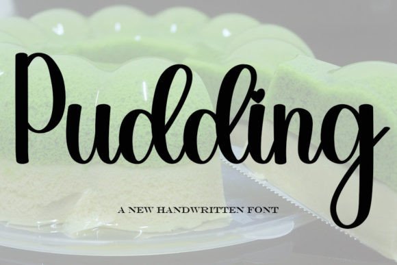 Pudding: The Elegant Handwritten Font for Modern Designers