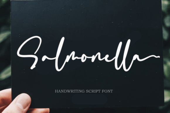 Salmonella: Elevating Designs with Handwritten Elegance