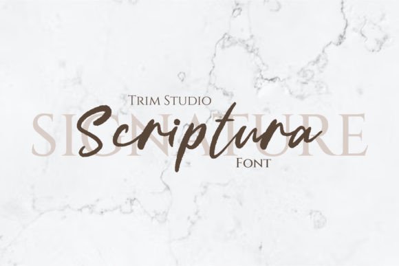 Scriptura: Elevating Design with Elegant Typography